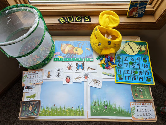 Bug Themed Sensory Table Digital Download