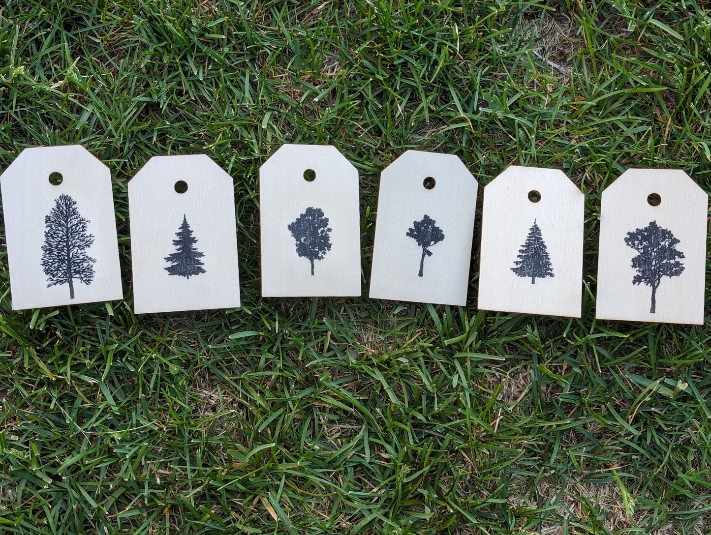 Tree Wooden Pictures