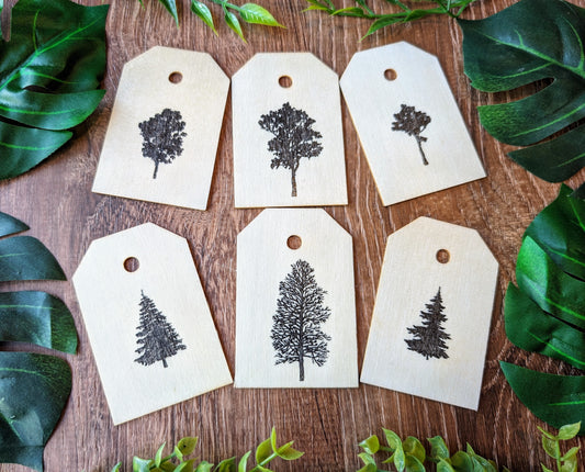 Tree Wooden Pictures