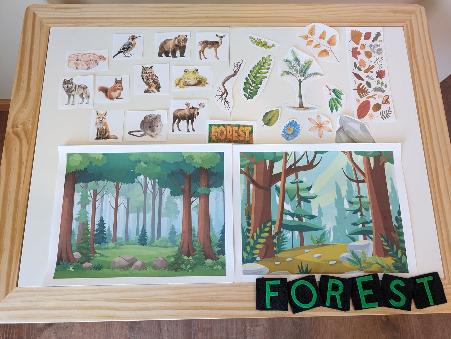 Forest Themed Sensory Table Digital Download