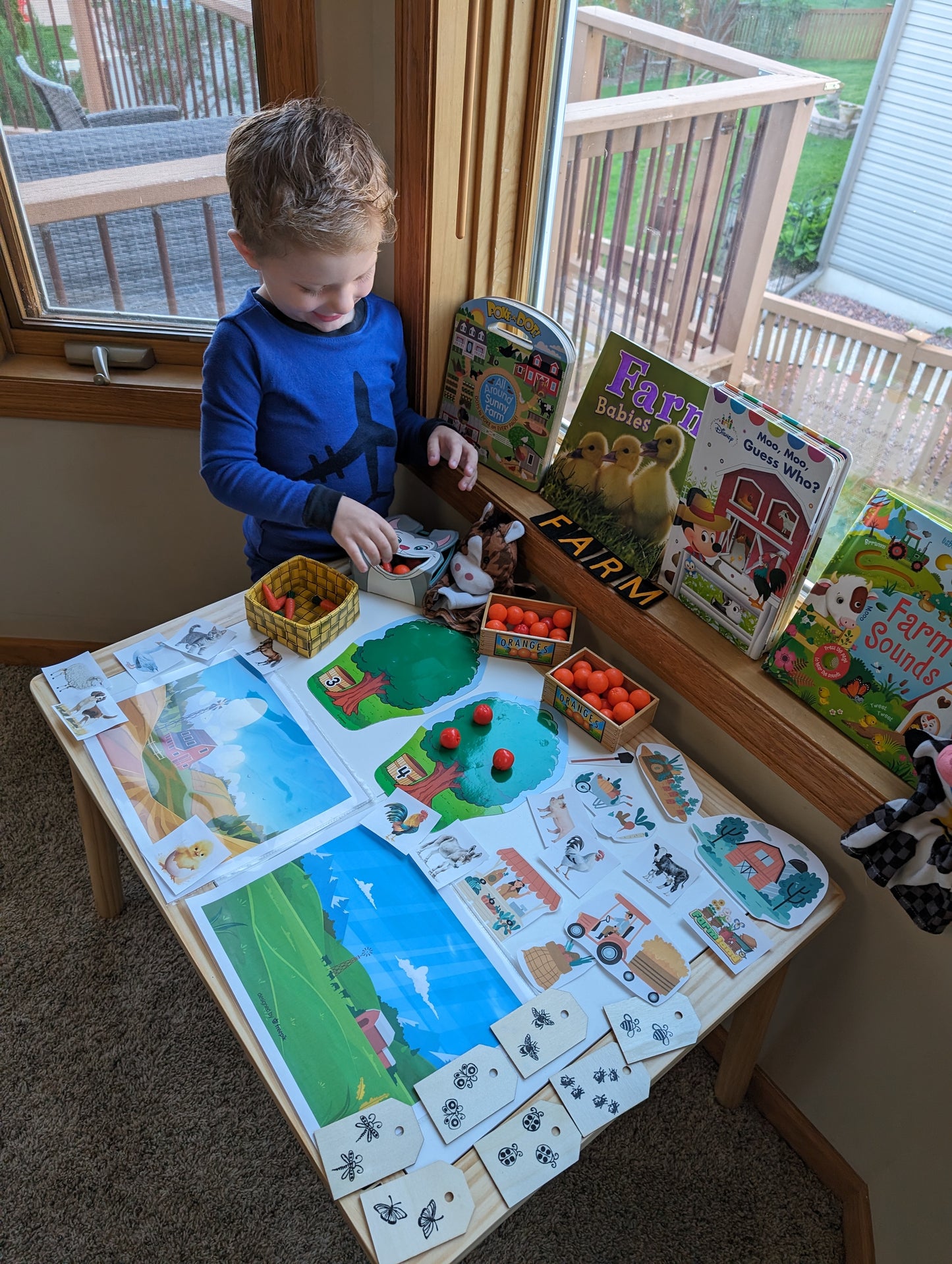 Farm Themed Sensory Table Digital Download