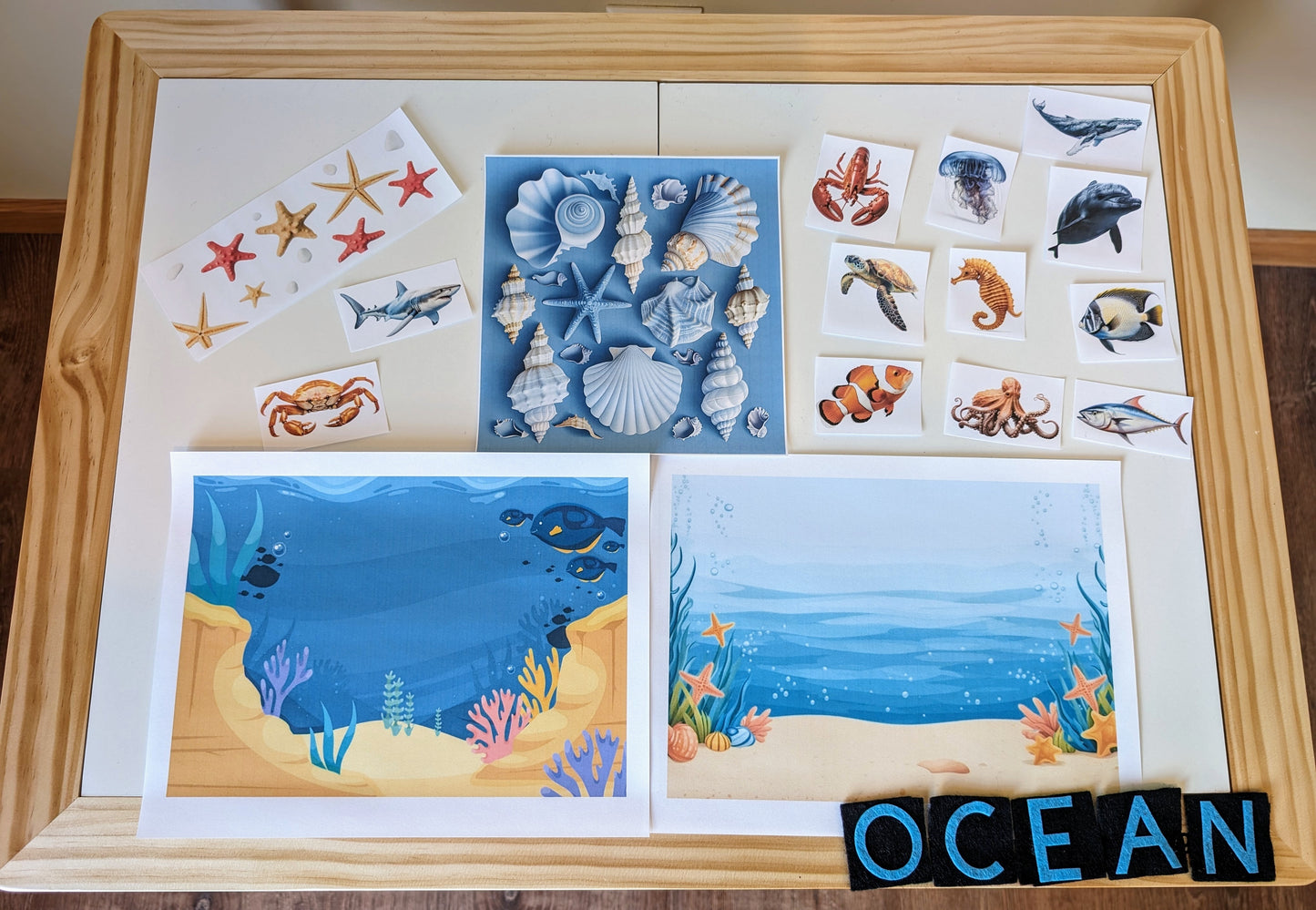 Ocean Themed Sensory Table Digital Download