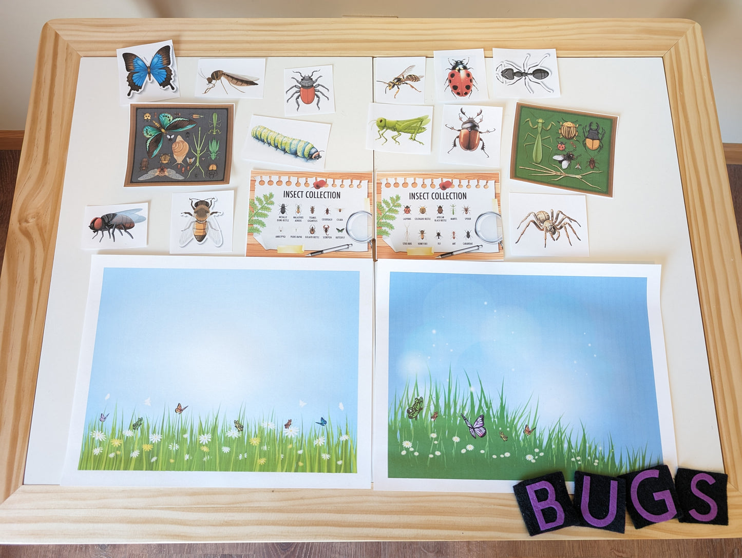 Bug Themed Sensory Table Digital Download