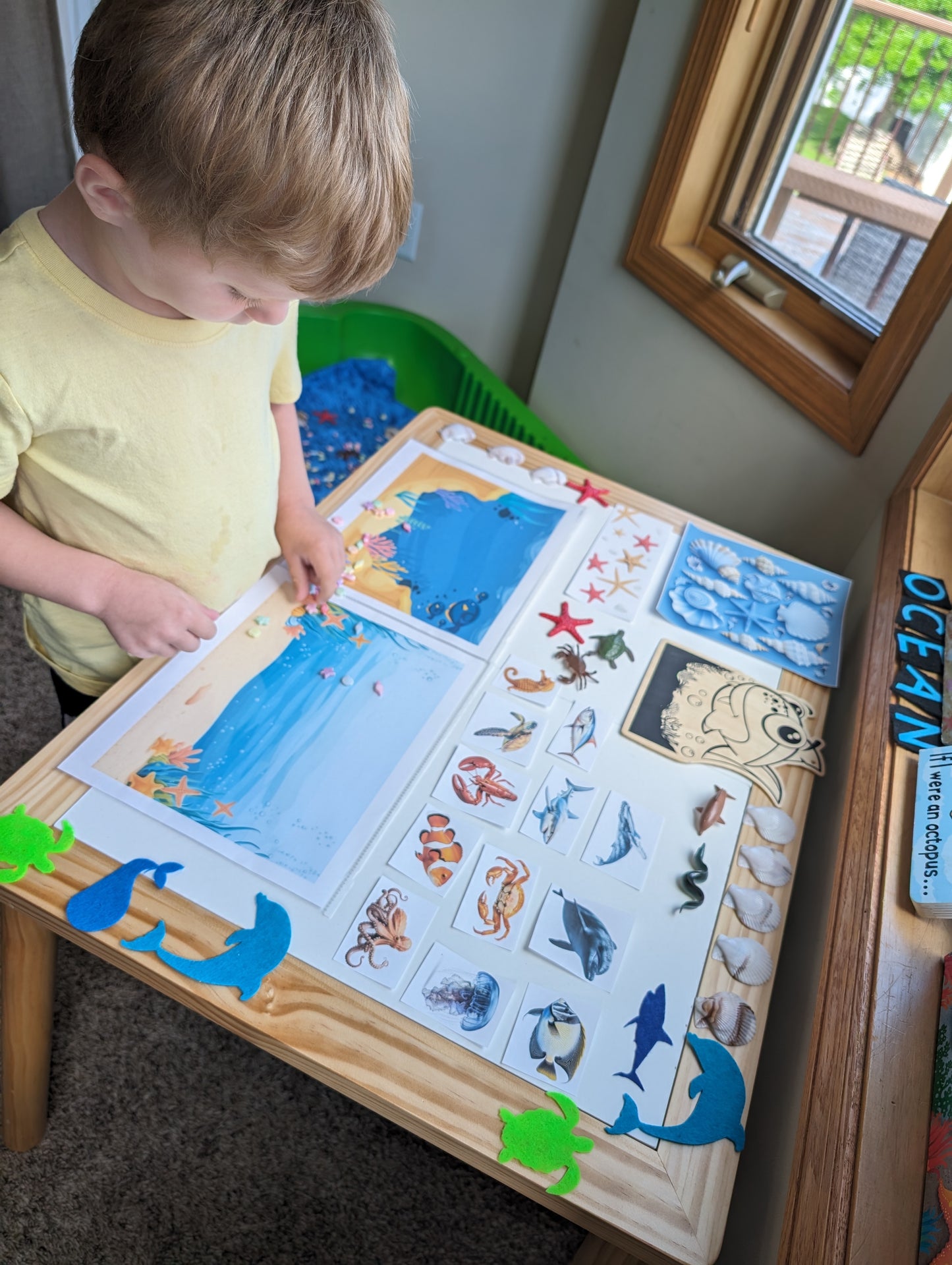 Ocean Themed Sensory Table Digital Download