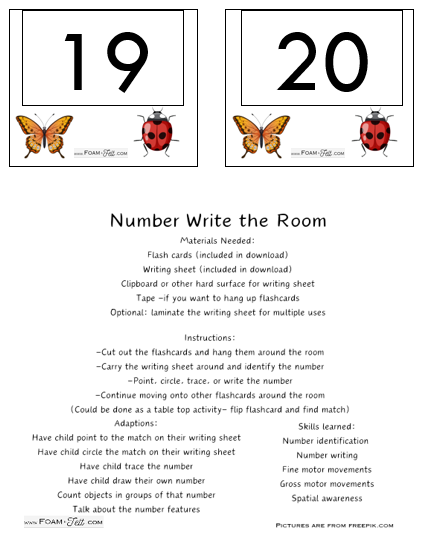 Write the Room-Bugs-Numbers 1-20 Activity Digital Download