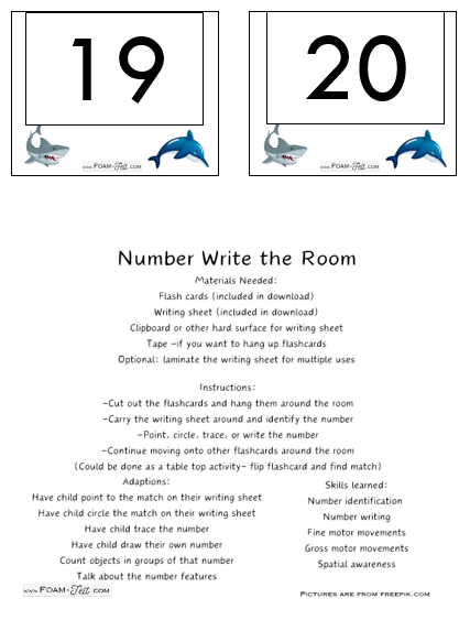 Write the Room-Ocean-Numbers 1-20 Activity Digital Download