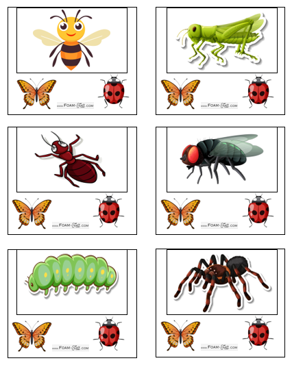 Write the Room-Bug-iSpy Picture Activity Digital Download