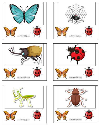 Write the Room-Bug-iSpy Picture Activity Digital Download