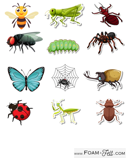 Write the Room-Bug-iSpy Picture Activity Digital Download