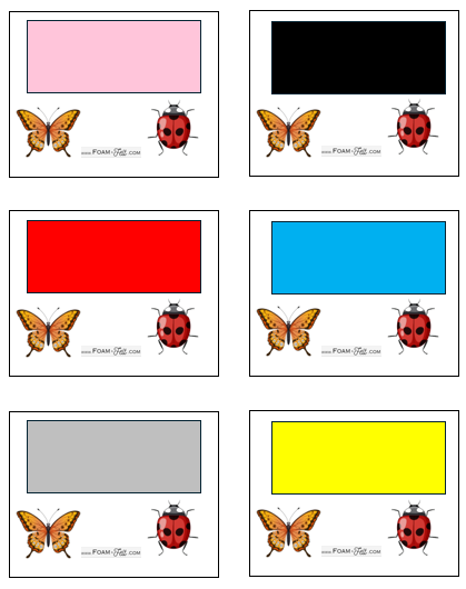 Write the Room-Bugs-Colors and Shapes Activity Digital Download