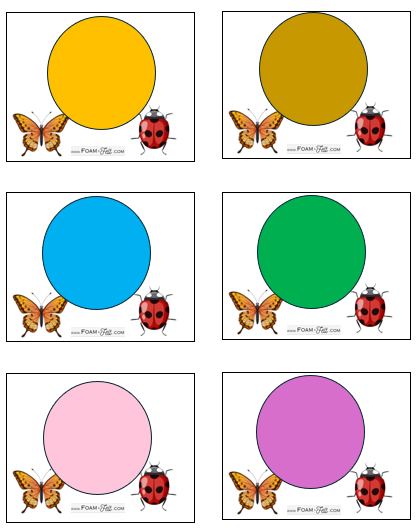 Write the Room-Bugs-Colors and Shapes Activity Digital Download