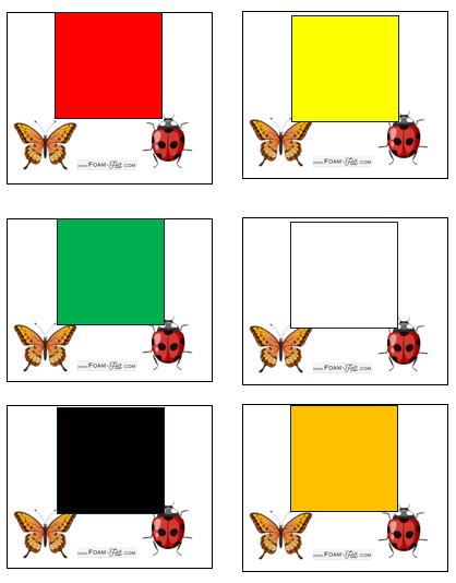 Write the Room-Bugs-Colors and Shapes Activity Digital Download