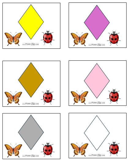 Write the Room-Bugs-Colors and Shapes Activity Digital Download