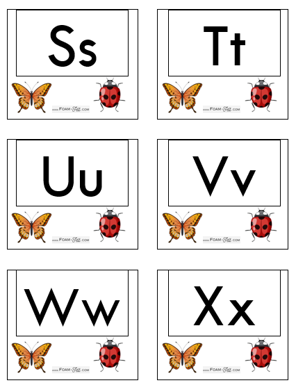 Write the Room-Bugs-Alphabet Activity Digital Download