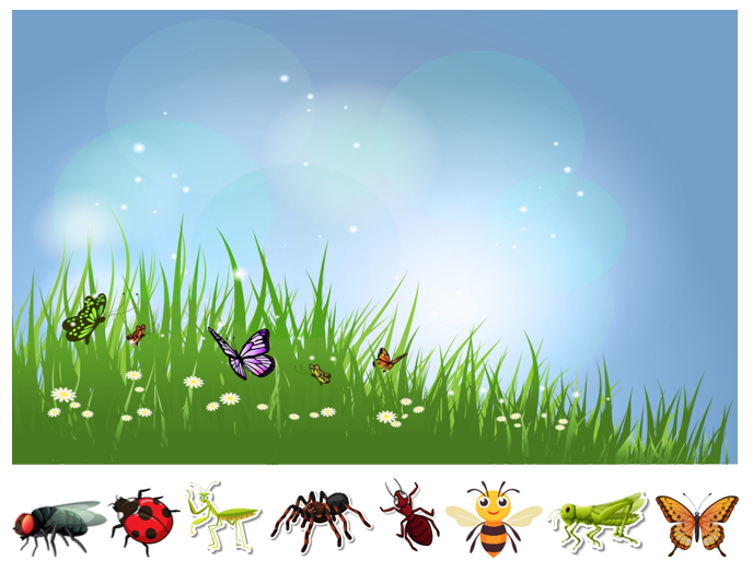 Match, Sort, Pattern, and Play-Bugs Themed Activity for Kids Digital Download