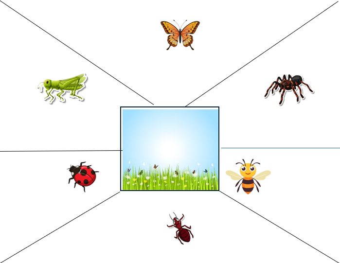 Match, Sort, Pattern, and Play-Bugs Themed Activity for Kids Digital Download