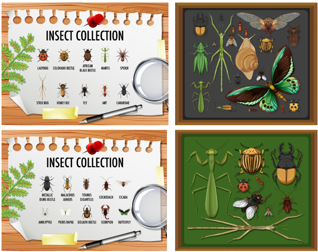 Bug Themed Sensory Table Digital Download