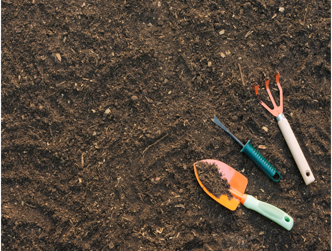 Gardening Themed Sensory Table Digital Download