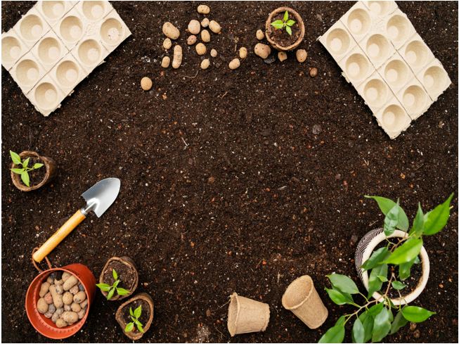 Gardening Themed Sensory Table Digital Download