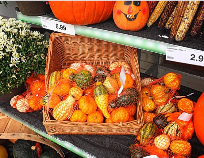 Pumpkin patch dramatic play digital download